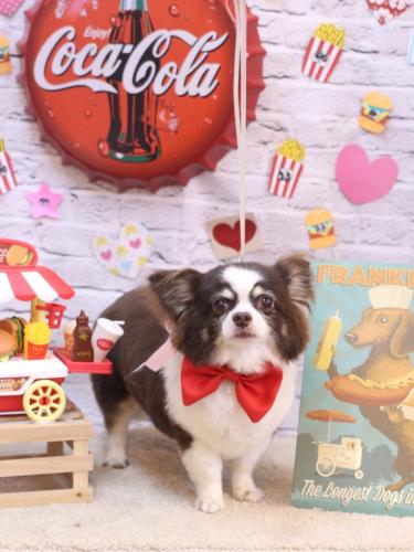 20230912アンジくん